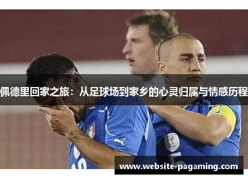 佩德里回家之旅：从足球场到家乡的心灵归属与情感历程