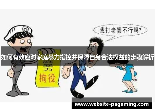 如何有效应对家庭暴力指控并保障自身合法权益的步骤解析 如何有效应对家庭暴力指控并保障自身合法权益的步骤解析