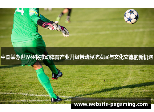 中国举办世界杯将推动体育产业升级带动经济发展与文化交流的新机遇