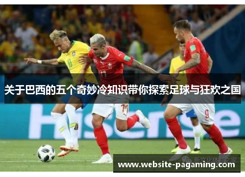 关于巴西的五个奇妙冷知识带你探索足球与狂欢之国