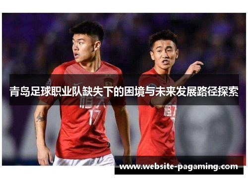青岛足球职业队缺失下的困境与未来发展路径探索 青岛足球职业队缺失下的困境与未来发展路径探索