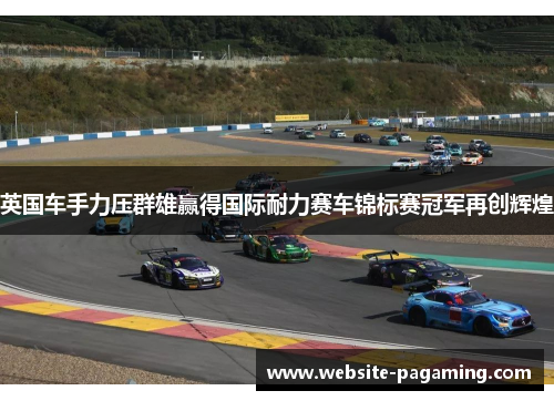 英国车手力压群雄赢得国际耐力赛车锦标赛冠军再创辉煌