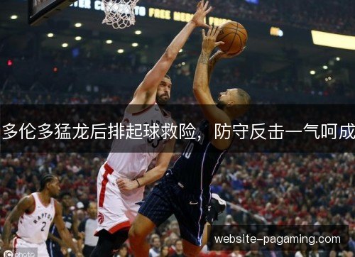 多伦多猛龙后排起球救险，防守反击一气呵成
